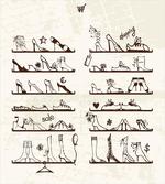 Feminine Shoes Shelves