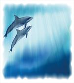 Underwater Scene Fish
