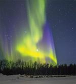 Aurora Borealis Forest