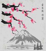 Fujiyama Cherry Blossoms
