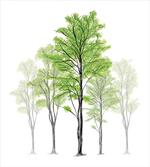Hand Drawn Nature Motif artwork