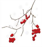 Plant with Snow