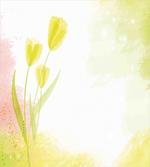 Tulip Flower Watercolor