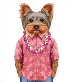 Dog in Humanoid Form