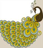 Peacock with Vivid Tail