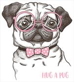 Pug with Bow Glasses