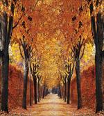 Pathway in the Woods