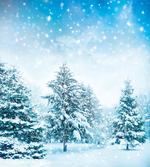 Fir Trees Mountainside artwork
