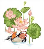 Mandarin in Pond