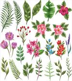 Exotic Flowers and Ferns