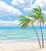 Summer Coast Wind