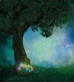 Forest Night
