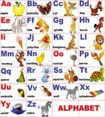 Animal Letters