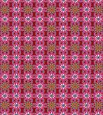 Persian Motley Flowers