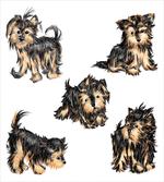 Terrier Cartoon
