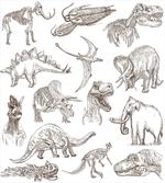 Dinosaurs Skeleton