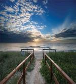 Pathway to Sea Swimming