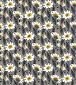 Daisy Petals