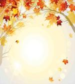 Autumn Leaves and Tree
