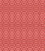 Complex Geometric Ornament