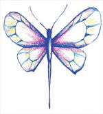 Butterfly Design Art