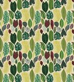 Various Detailed Leaves