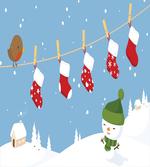 Socks Hanging Bird