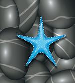 Blue Sea Star