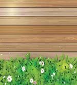 Daisy Flower Garden
