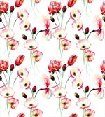 Poppy Flowers Branches
