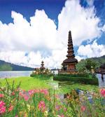 Bali Tropic Flowers Sea