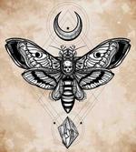 Hawk Moth Skull Magic