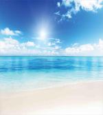 Caribbean Summer Sea artwork