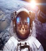 Space Satellite Eclipse