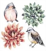 Meadow Tropic Wildlife