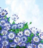 Wildflowers in Grass