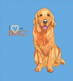 I Love My Dog
