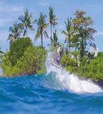 Bali Island Hobby
