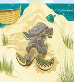 Sea Turtles Sand Boat