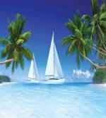 Palm Trees and Sailboats