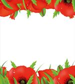 Perennial Bedding Plants