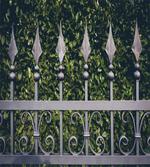 Outdoor Garden Fence Photo