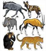 Cartoon Wild Animals Africa
