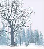 Snowy Forest Trees Birds