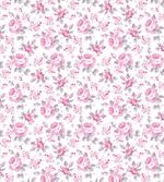 Pink Roses Spring