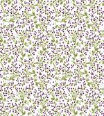 Wild Berries Botanical
