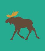 Deer Family and Antlers
