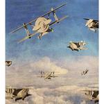 3D Retro Biplanes