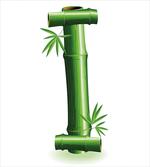 Bamboo Tree Forest
