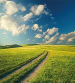 Spring Rural Country
